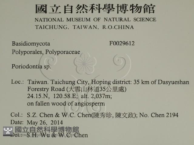 Accession Number:F0029612 Collection Image, Figure 2, Total 3 Figures