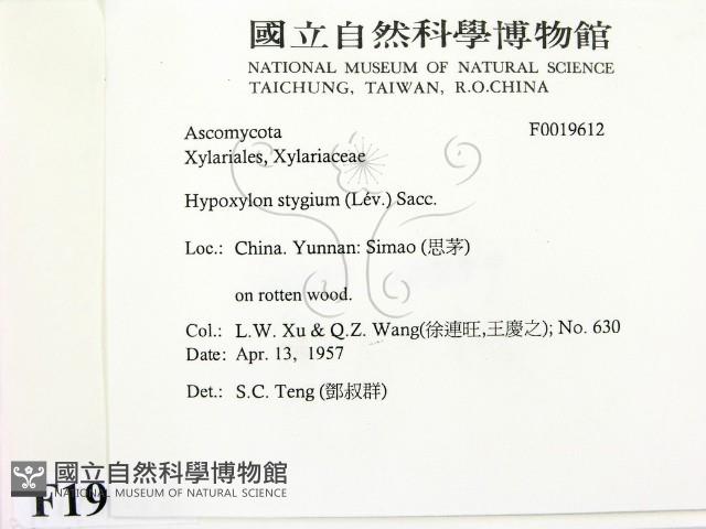 登錄號:F0019612藏品圖，第2張