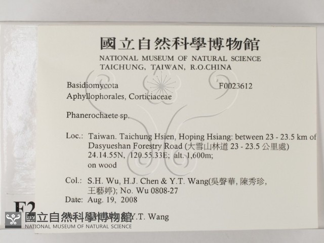 顯絲菌屬藏品圖，第2張