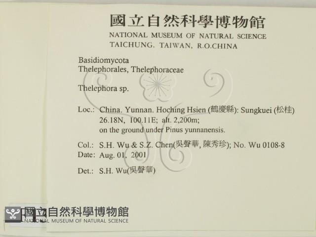 革菌屬藏品圖，第2張