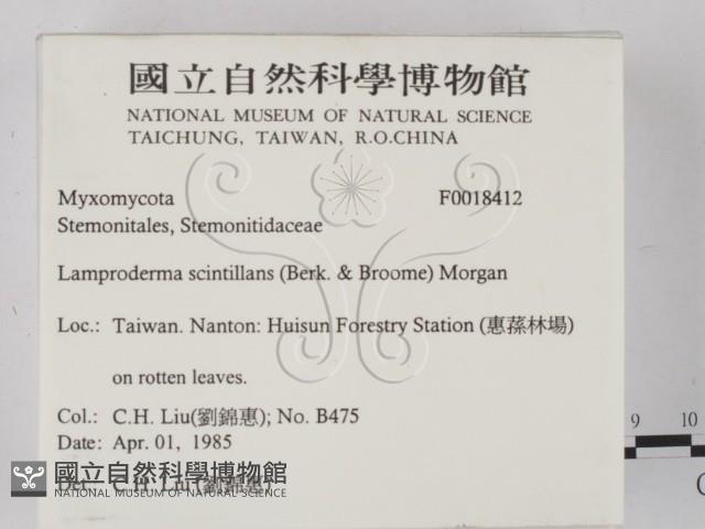 登錄號:F0018412藏品圖，第2張