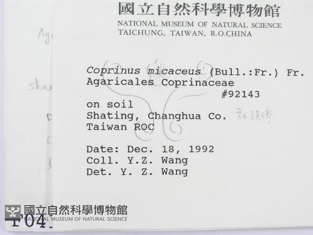 登錄號:F0000412藏品圖，第2張