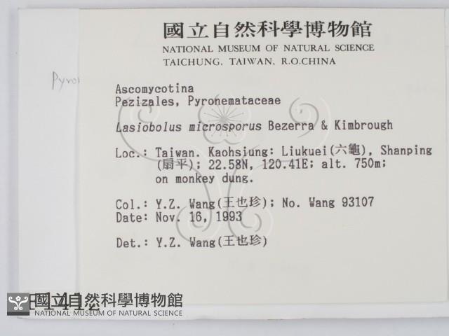 登錄號:F0001412藏品圖，第2張