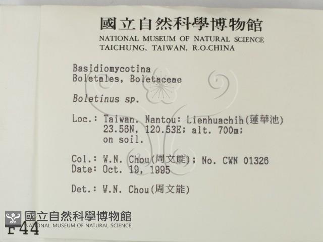 登錄號:F0004412藏品圖，第2張