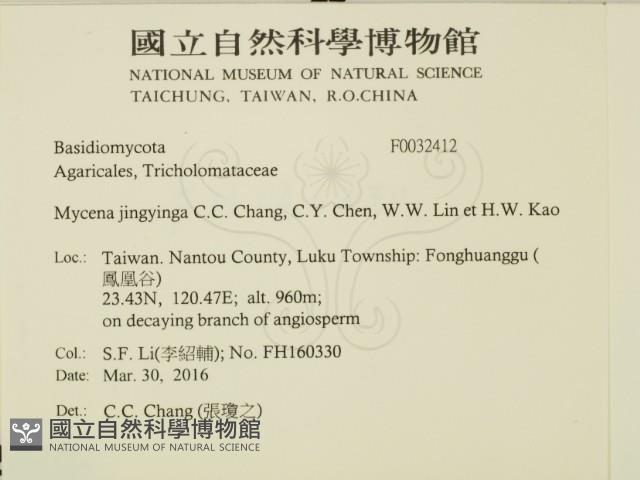 登錄號:F0032412藏品圖，第2張