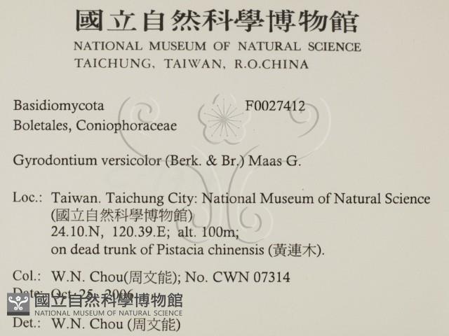 登錄號:F0027412藏品圖，第2張