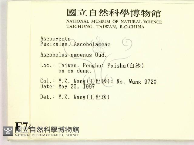 登錄號:F0007412藏品圖，第2張