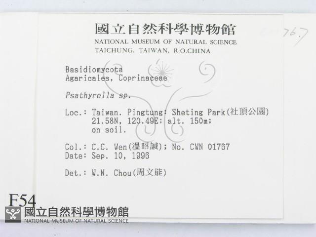 登錄號:F0005412藏品圖，第2張