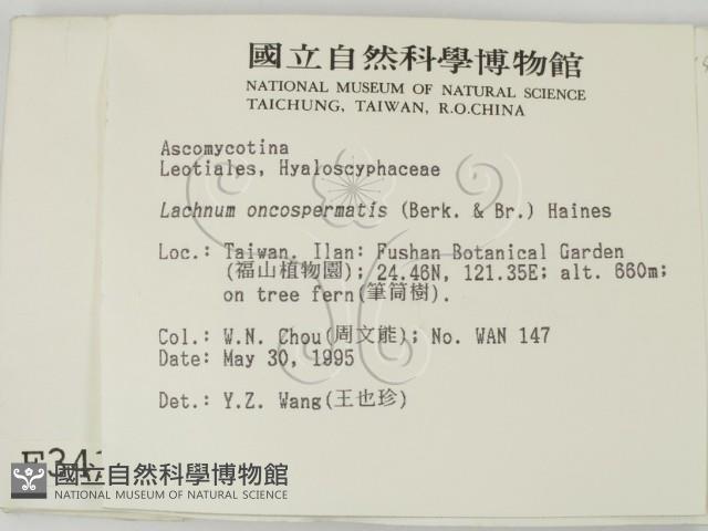 登錄號:F0003412藏品圖，第2張