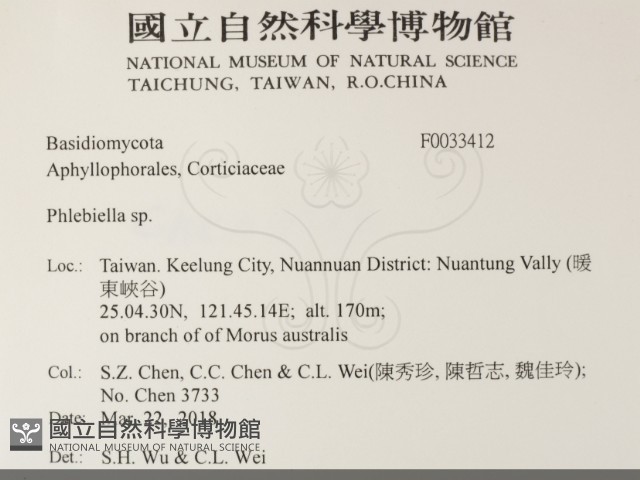 登錄號:F0033412藏品圖，第2張