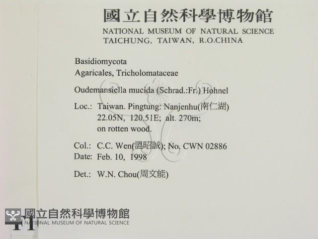 登錄號:F0010712藏品圖，第2張