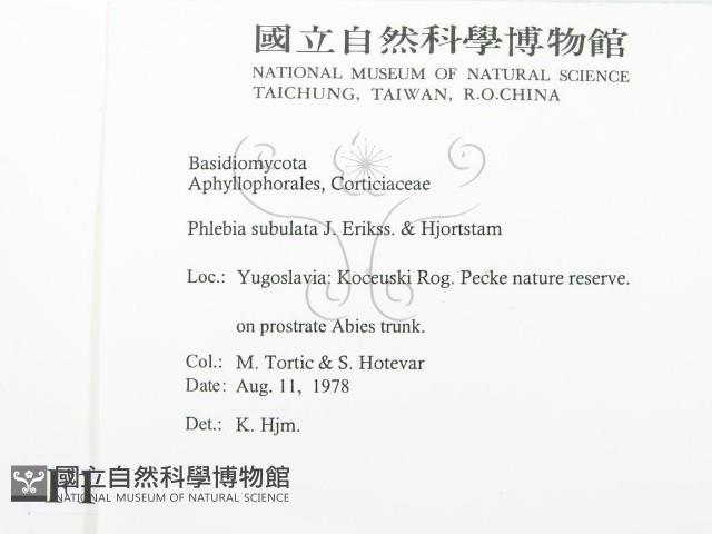 登錄號:F0016712藏品圖，第2張