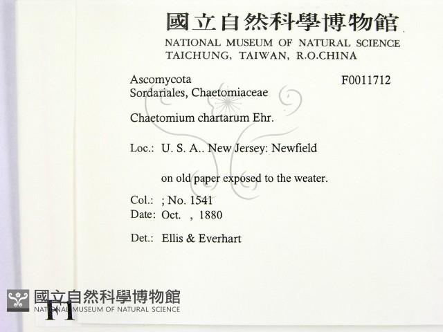 登錄號:F0011712藏品圖，第2張