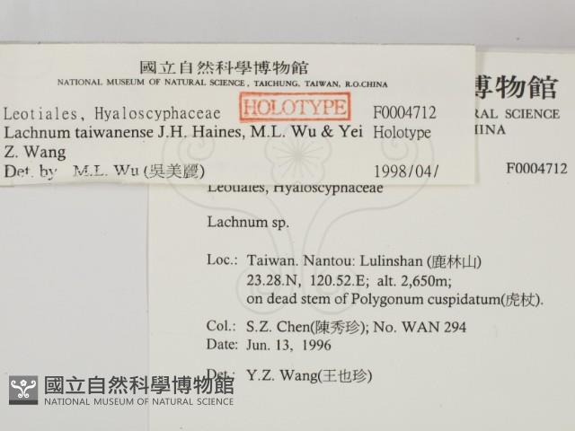 登錄號:F0004712藏品圖，第2張