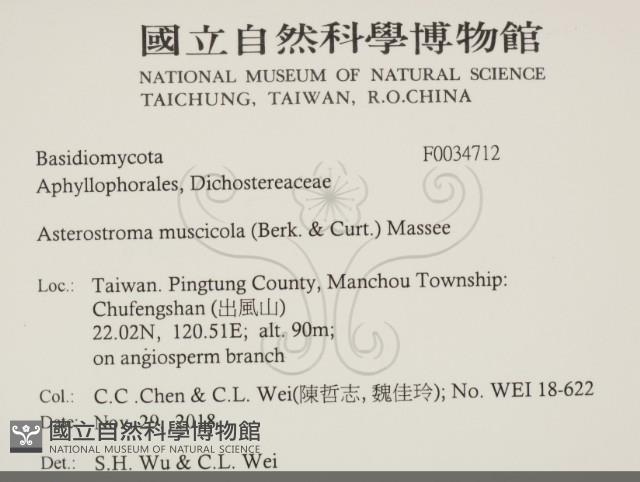 登錄號:F0034712藏品圖，第2張