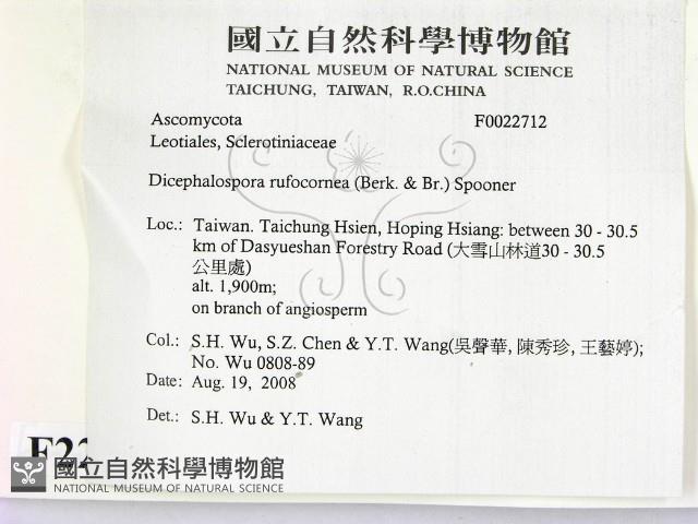 登錄號:F0022712藏品圖，第2張
