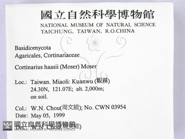 登錄號:F0012712藏品圖，第2張