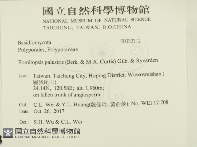 登錄號:F0032712藏品圖，第2張