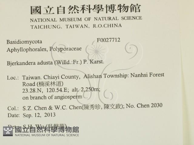 煙管菌藏品圖，第2張