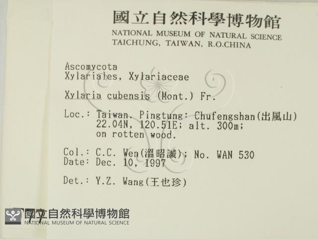 登錄號:F0007712藏品圖，第2張