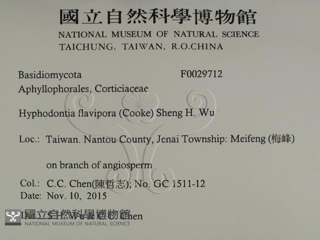 登錄號:F0029712藏品圖，第2張