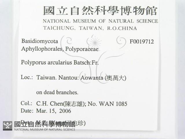 登錄號:F0019712藏品圖，第2張