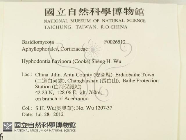 登錄號:F0026512藏品圖，第2張