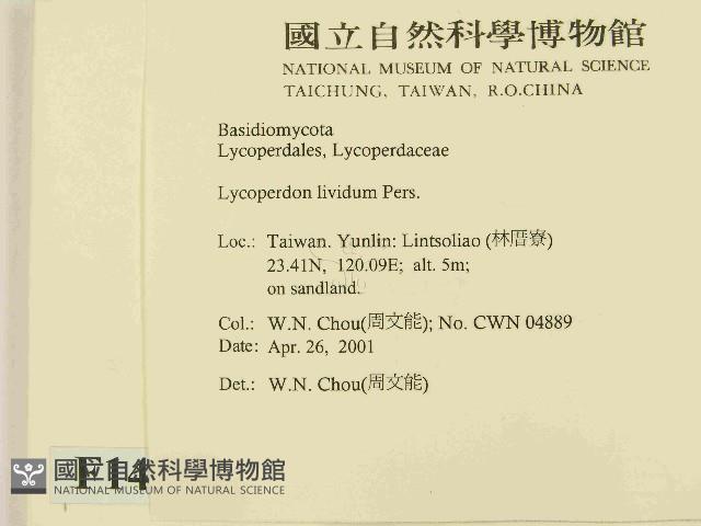 登錄號:F0014512藏品圖，第2張