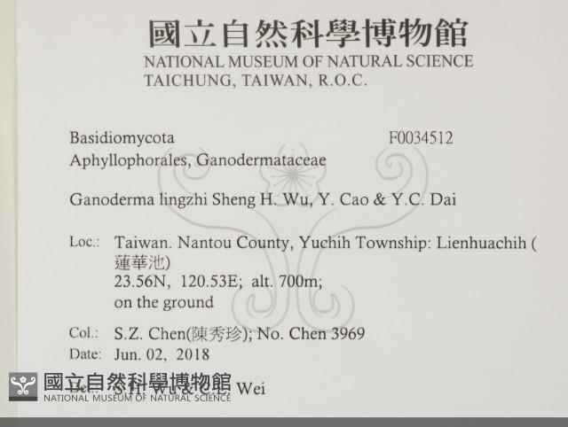 登錄號:F0034512藏品圖，第2張