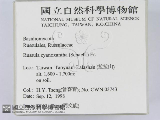 登錄號:F0012512藏品圖，第2張
