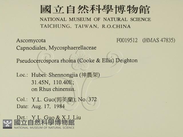 登錄號:F0019512藏品圖，第2張