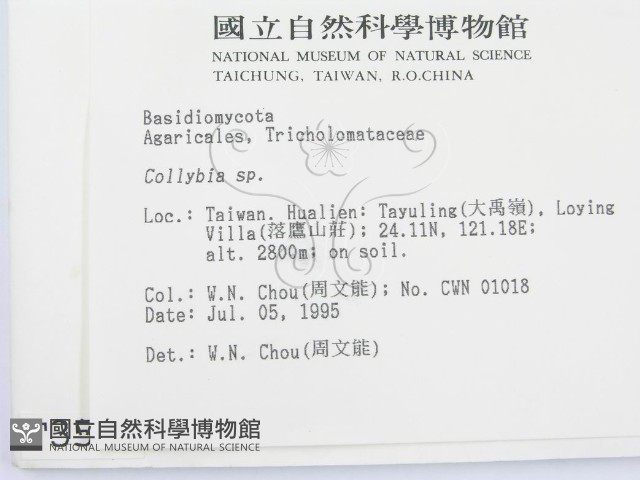 登錄號:F0003512藏品圖，第2張