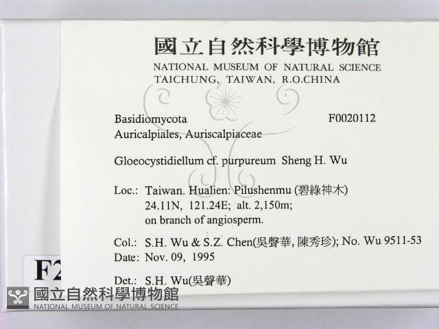 登錄號:F0020112藏品圖，第2張