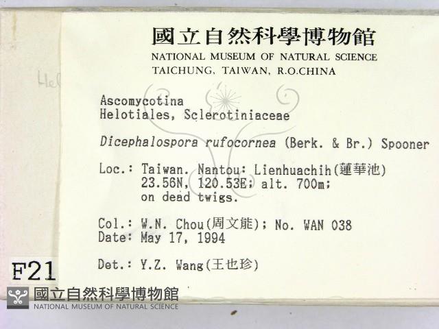 登錄號:F0002112藏品圖，第2張