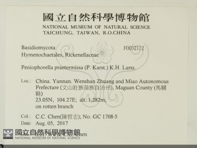 登錄號:F0032112藏品圖，第2張