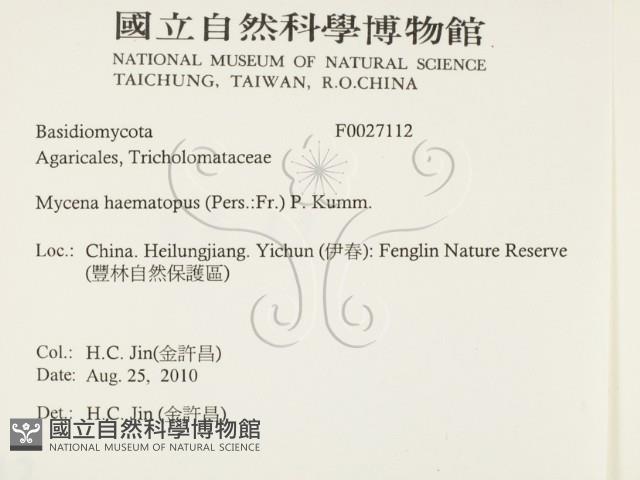 登錄號:F0027112藏品圖，第2張