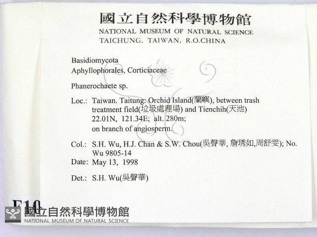 顯絲菌屬藏品圖，第2張