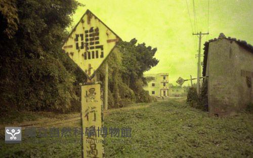 1950至2006年臺灣常民生活藏品圖，第1張
