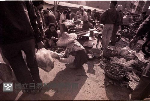 1950至2006年臺灣常民生活藏品圖，第1張