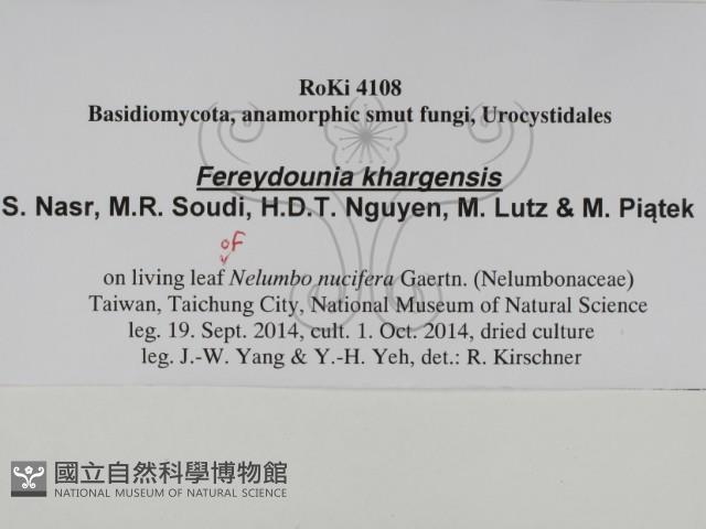 登錄號:F0031012藏品圖，第2張