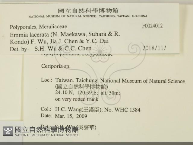 登錄號:F0024012藏品圖，第2張