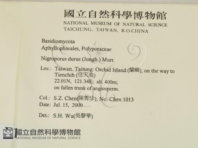 登錄號:F0012012藏品圖，第2張