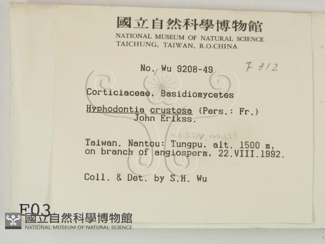 登錄號:F0000312藏品圖，第2張