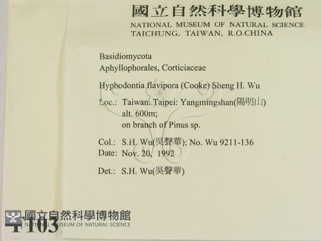 登錄號:F0010312藏品圖，第2張