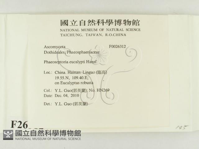 登錄號:F0026312藏品圖，第2張