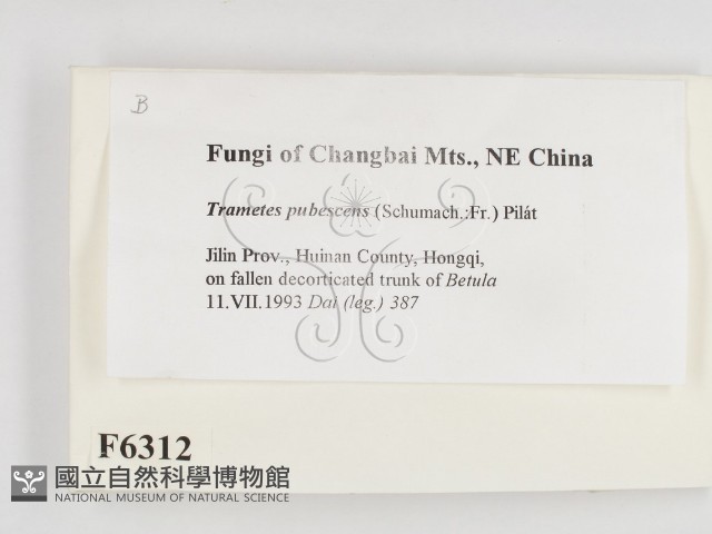 登錄號:F0006312藏品圖，第2張