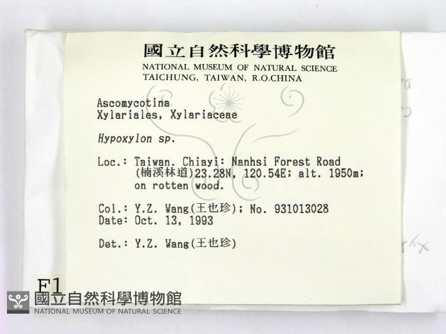 登錄號:F0001312藏品圖，第2張