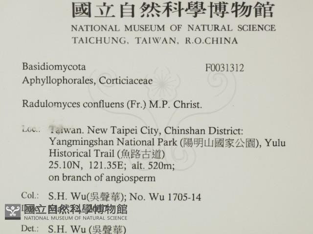 登錄號:F0031312藏品圖，第2張