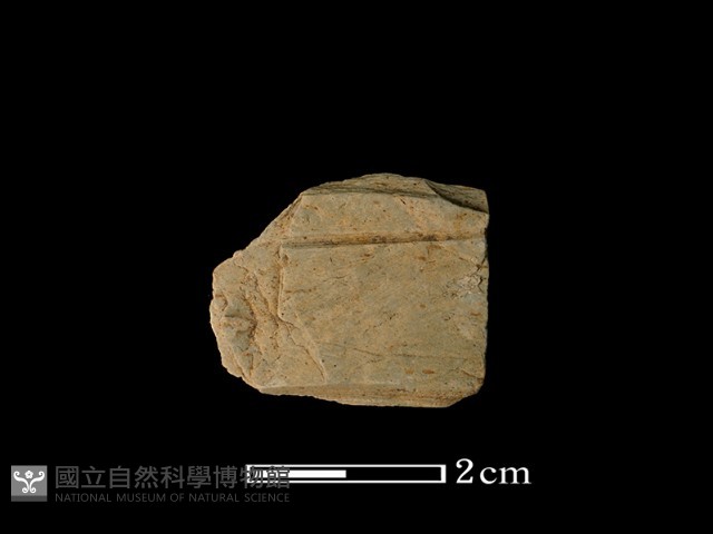 帶加工痕石材藏品圖，第1張