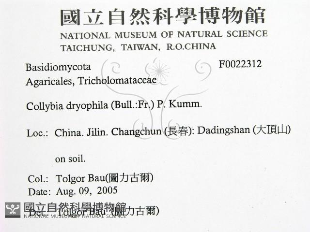 登錄號:F0022312藏品圖，第2張